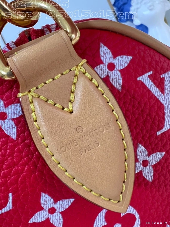 Aaa replica bags SPEEDY Vuitton Louis 25 0729